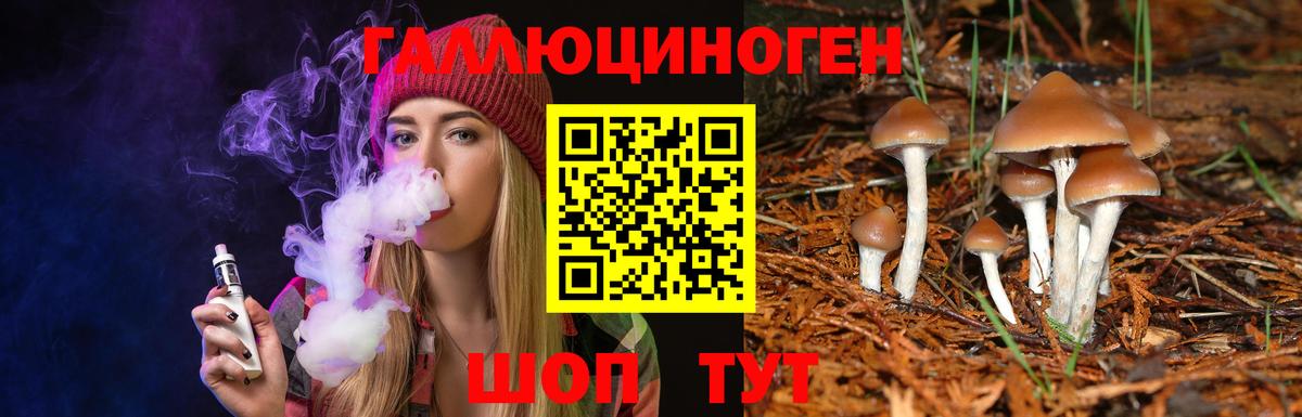 Псилоцибиновые грибы прущие грибы Набережные Челны